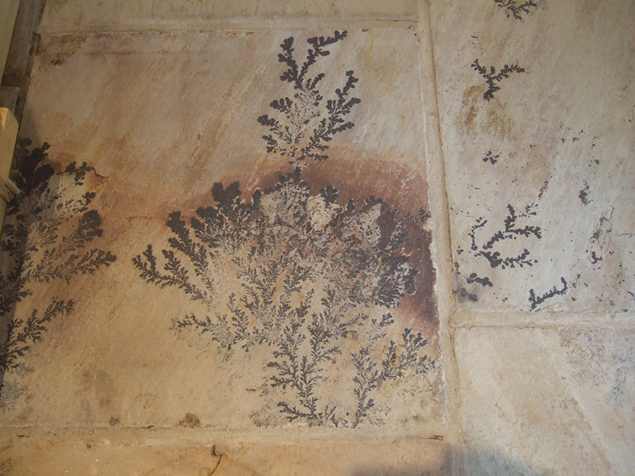Close up view of fern patterns in pyrolusite stone floor